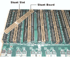 Intro4.gif (23231 bytes)